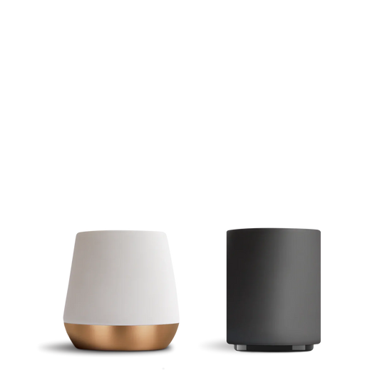 The Ceramic Set - The Ceramic Set - Default Title | Fellow
