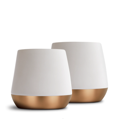 Joey Double Wall Ceramic Mugs - Joey Double Wall Ceramic Mugs - Matte White / Joey 8 oz | Fellow